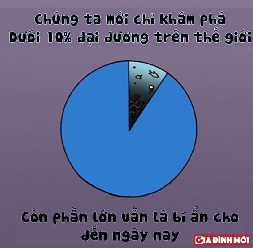 10 su that thu vi co the ban chua biet ve cac con vat-Hinh-3
