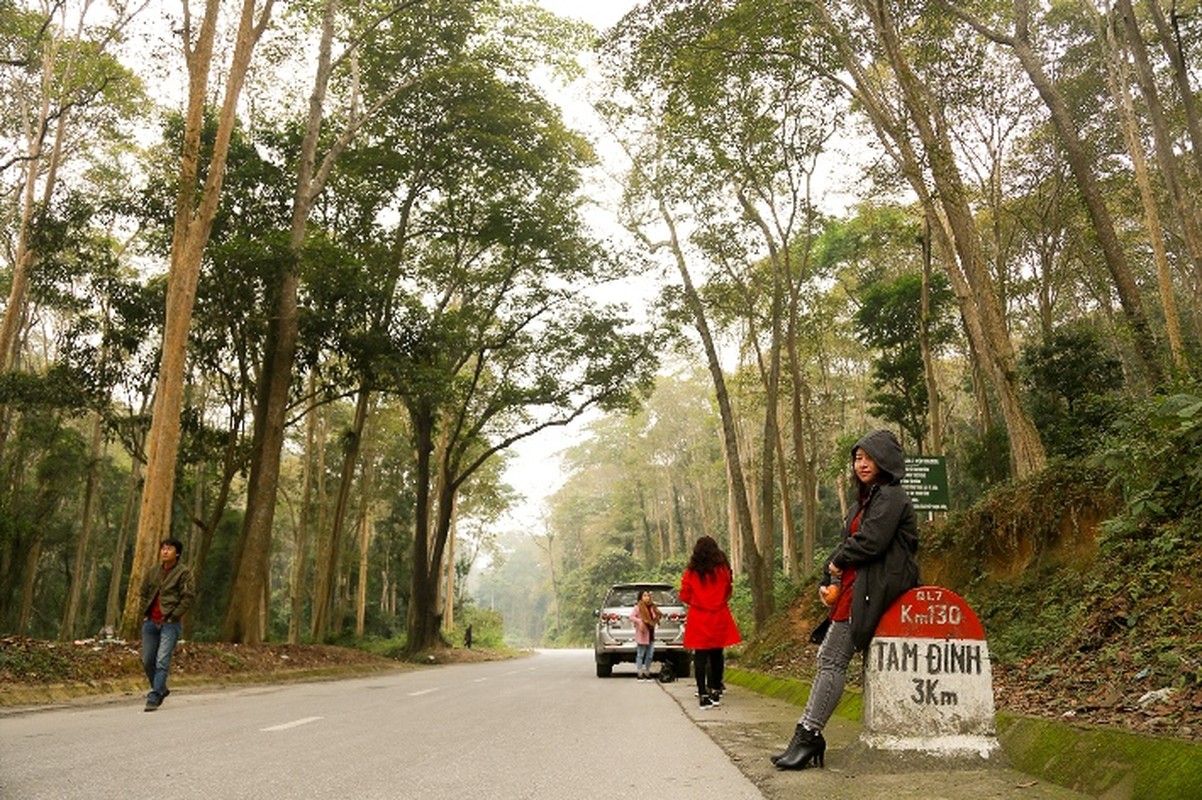 Ngam rung sang le nguyen sinh dep nhu tranh giua dai ngan xu Nghe