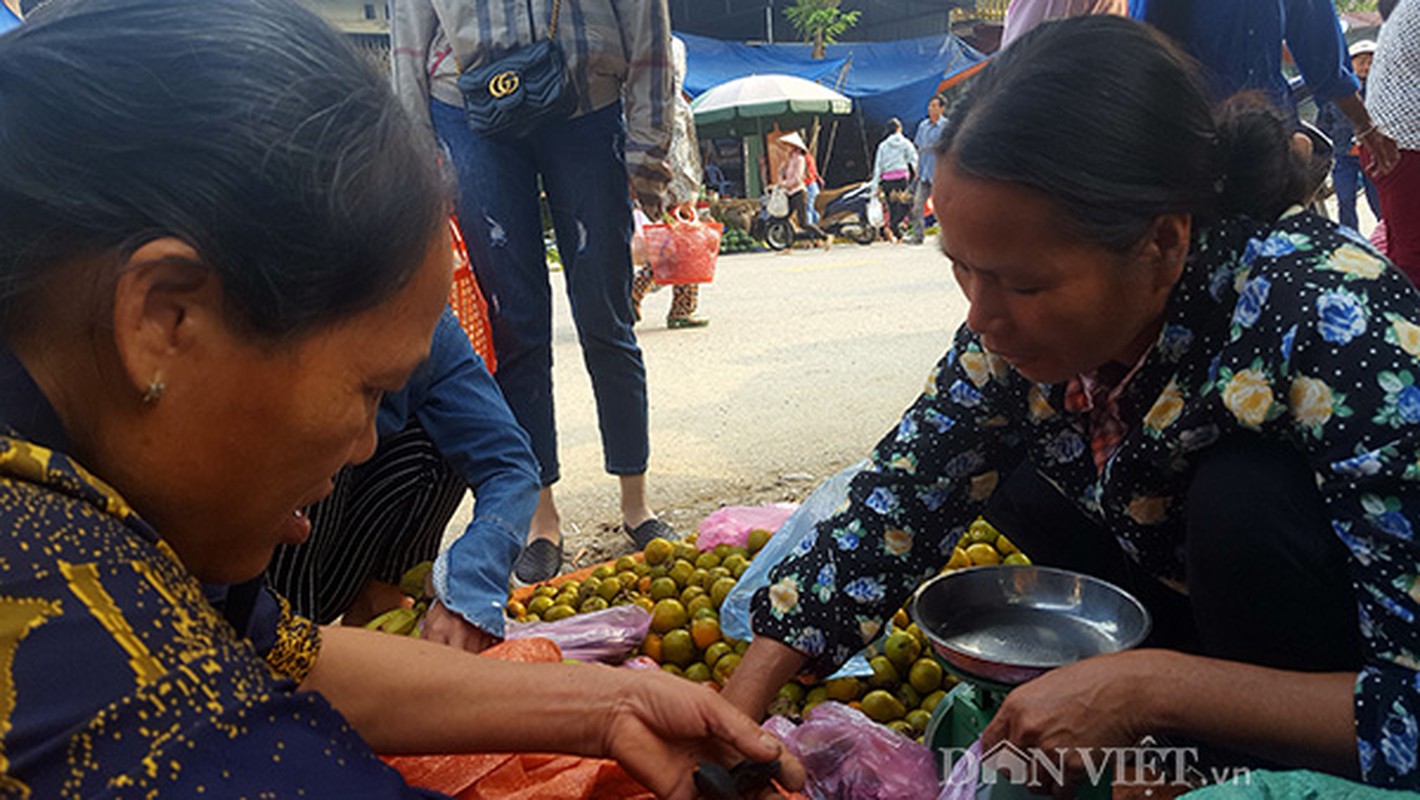 Tranh nhau mua tram den xu Lang gia 