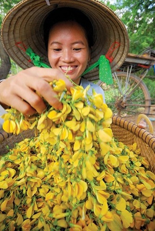 Mua nuoc noi, nguoi dan mien Tay hai bong dien dien thu tien moi tay-Hinh-8