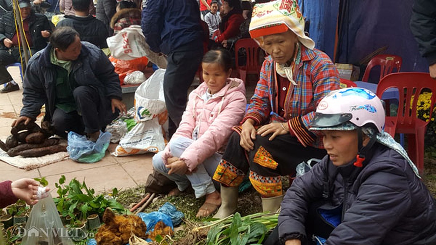 La liet 'than duoc' tren nui cao duoc nguoi Dao Mau Son mang bay ban-Hinh-3