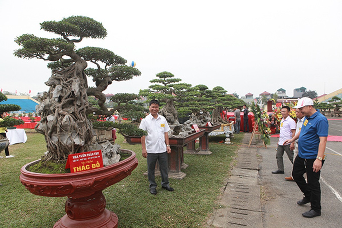 Kiet tac sanh co “thac do ngoi da” hiem co cua dai gia Phu Tho