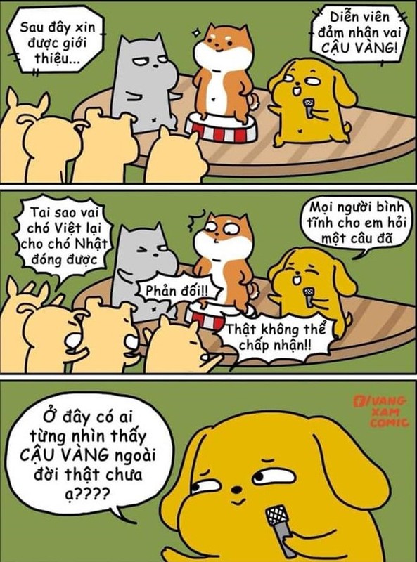 Anh che 'tam tu cua cau Vang' khi bi 'bien thanh' giong Shiba Inu-Hinh-2