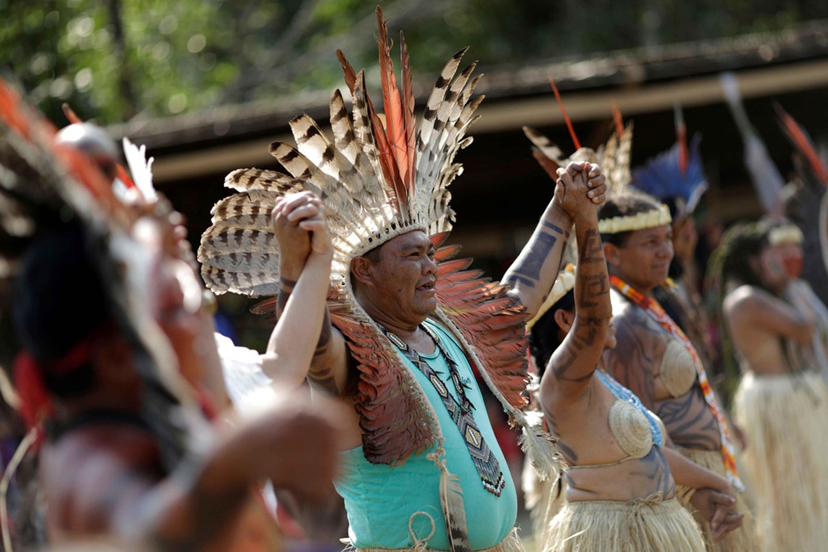 Bo lac Brazil nhay mua, cau nguyen de rung Amazon het chay-Hinh-4