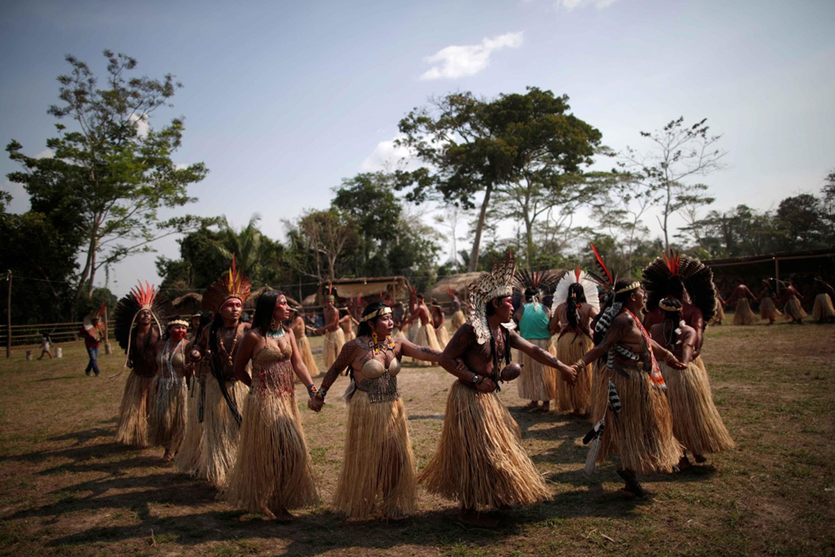 Bo lac Brazil nhay mua, cau nguyen de rung Amazon het chay-Hinh-7