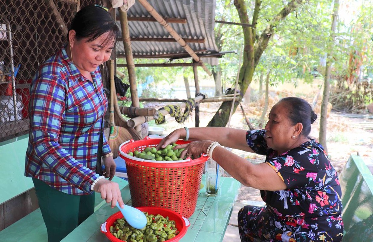 Qua dac san giup nguoi mien Tay thu tien trieu mua nuoc noi-Hinh-5