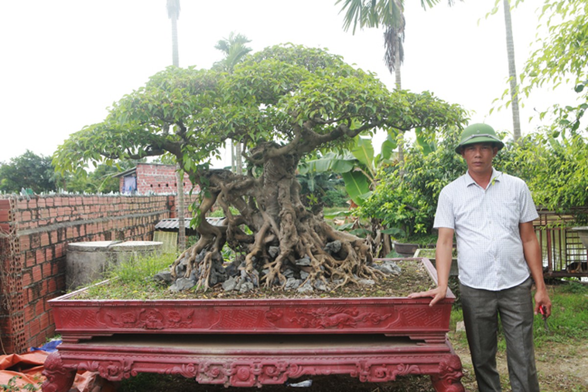 Vuon cay canh hang chuc ty cua dai gia nong thon-Hinh-13