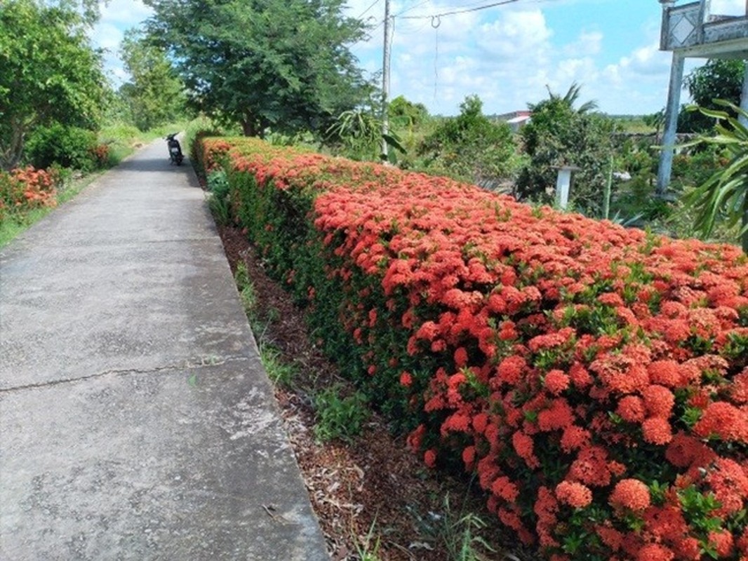 Nha cap 4 cua ong nong dan noi khap mang nho thu khong ai co-Hinh-11