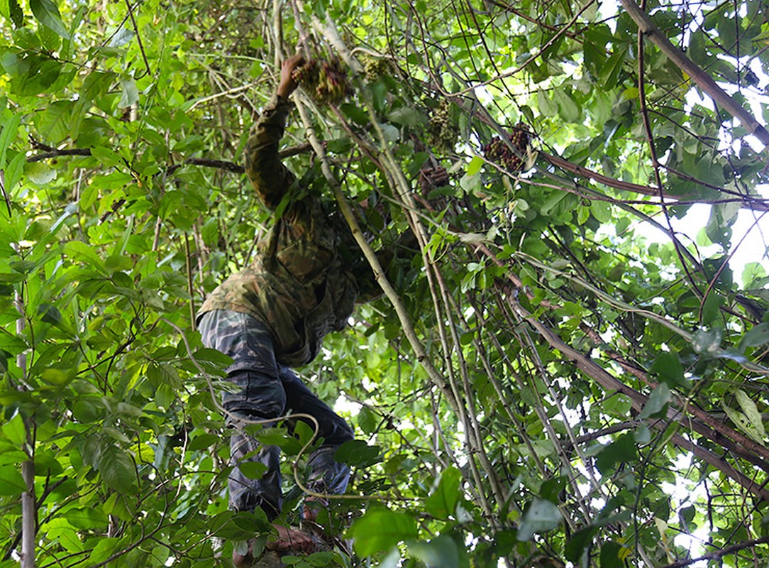 Qua moc dai bong thanh dac san dat hon nho My-Hinh-3