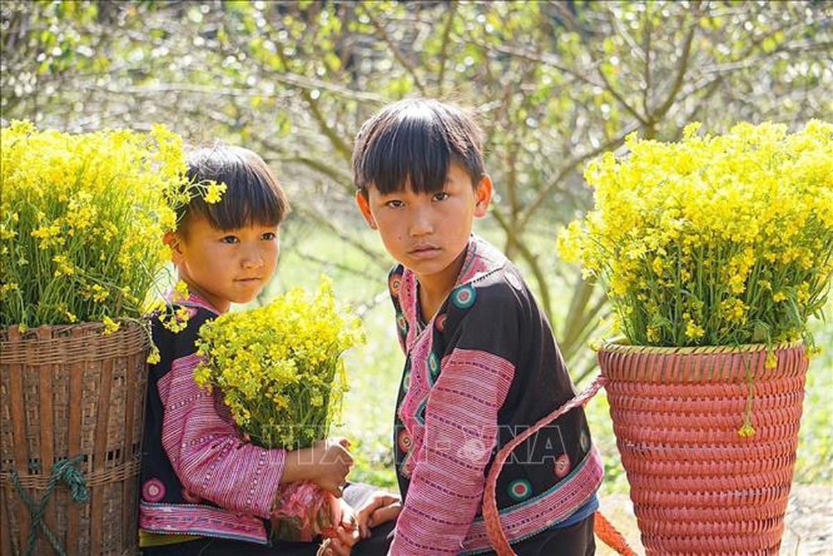 Ve dep binh yen, tho mong cua cao nguyen Moc Chau-Hinh-4