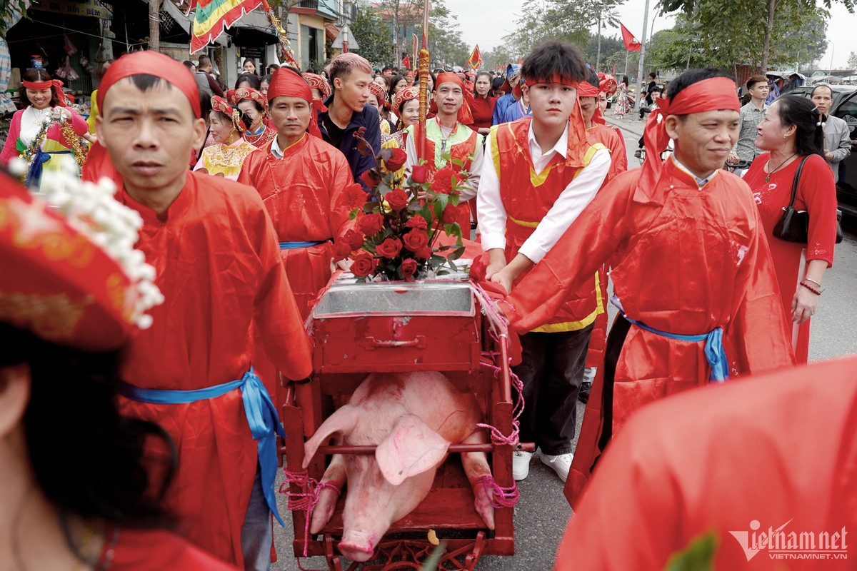 View - 	Hàng trăm người rước ông ỉn tại Lễ hội làng Ném Thượng