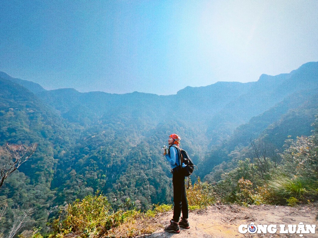 View - 	Khu rừng nguyên sinh đẹp như cổ tích trên đỉnh Sa Mu Putaleng
