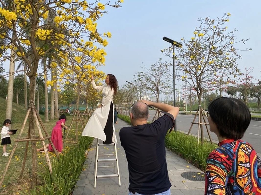 Hoa phong linh no bung vang ruc goc troi Ha Noi-Hinh-3