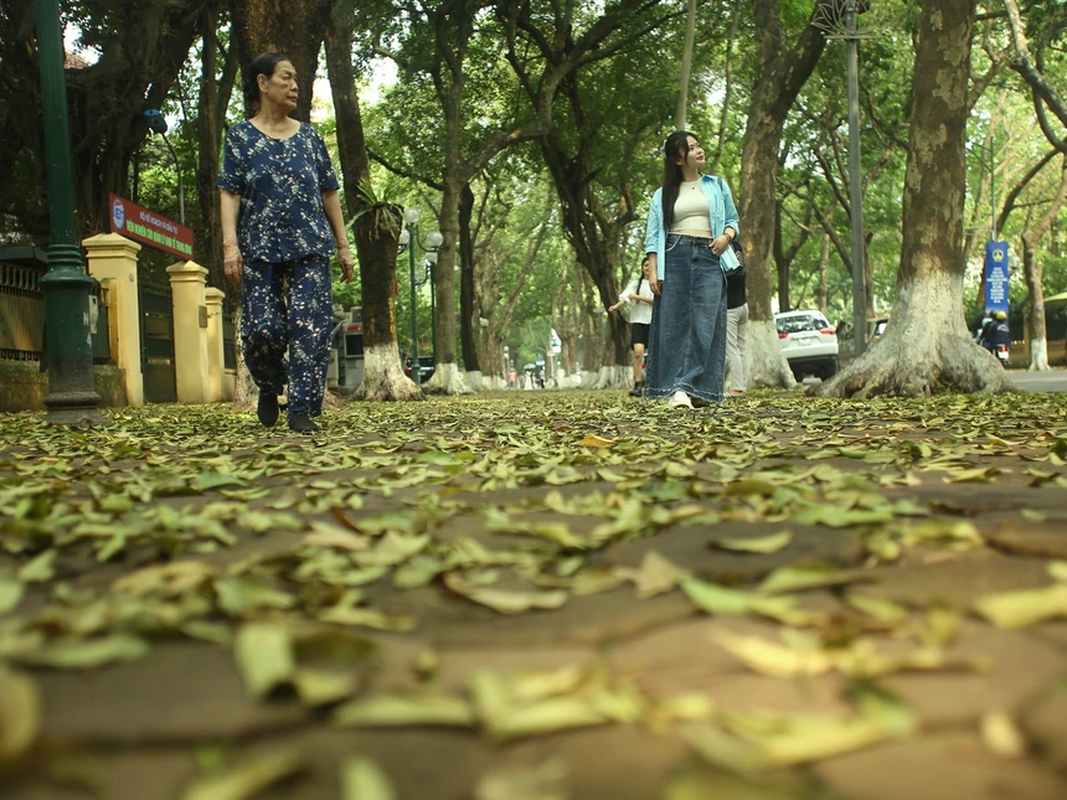 Gioi tre Ha Noi do xo di chup anh voi hoa luc binh-Hinh-5