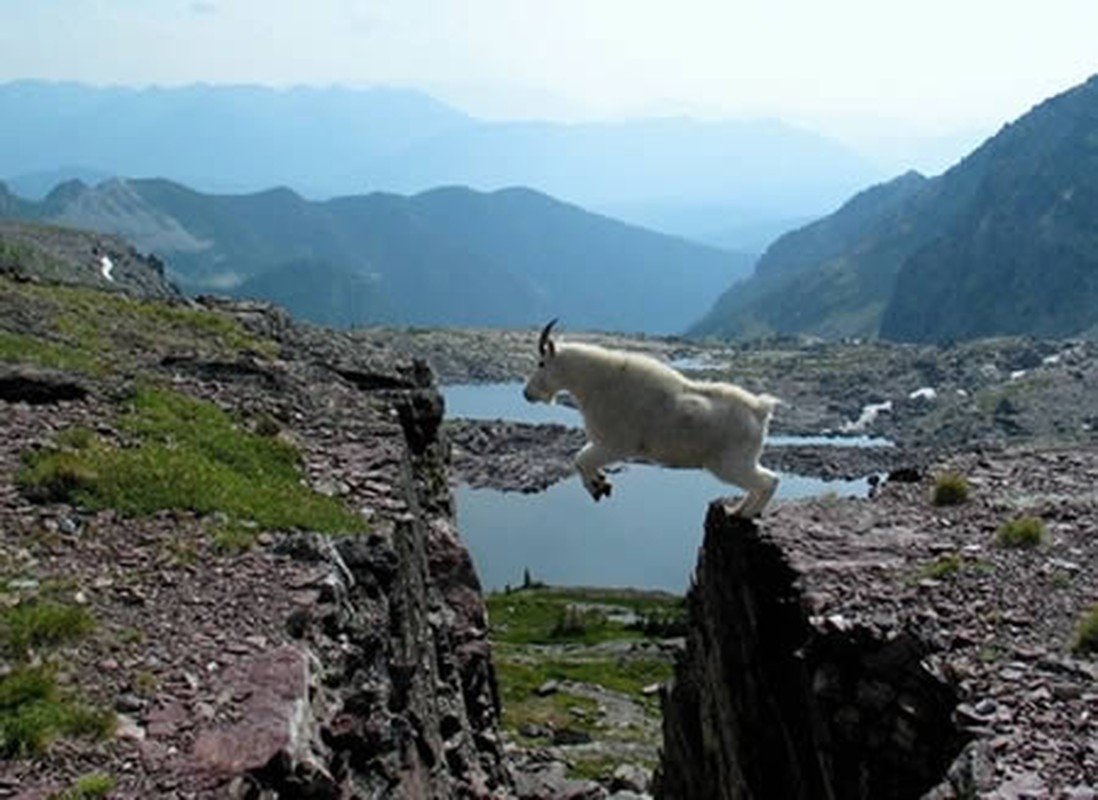 Nhung khoanh khac co mot khong hai hiem khi gap ngoai doi-Hinh-7