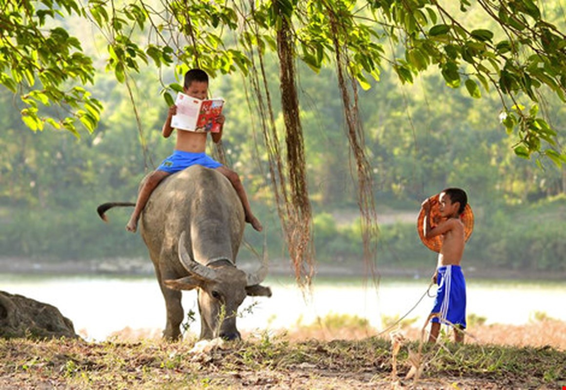 Tre em chan trau va nhung tro tieu khien thu vi-Hinh-8