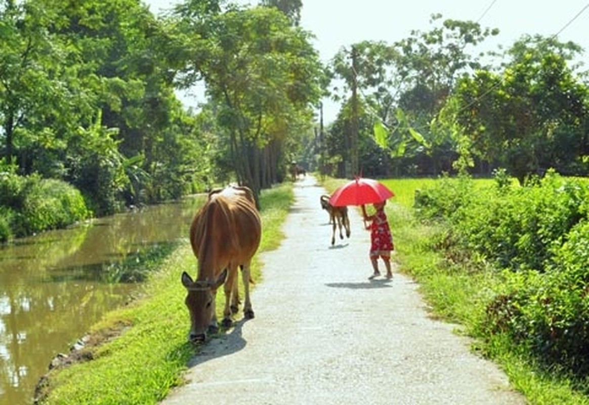 Xem tre em thanh pho quay pha tung bung khi ve que-Hinh-8