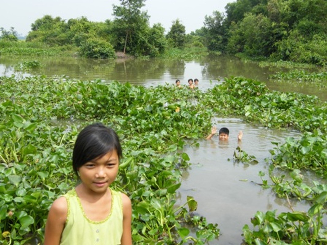 Khoanh khac vang nhung dua tre mien song nuoc-Hinh-7