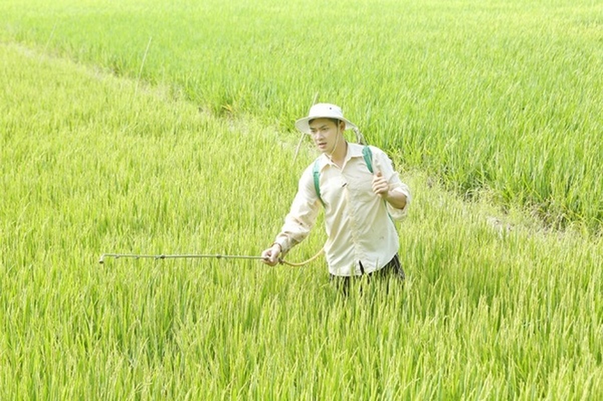 Cuoc song trong nha vuon 3.000 met vuong cua Minh Luan-Hinh-5