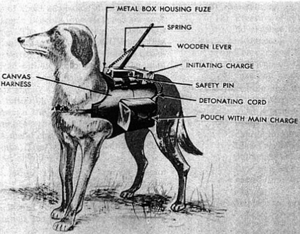 Giai ma chien thuat cho cam tu danh xe tang Duc