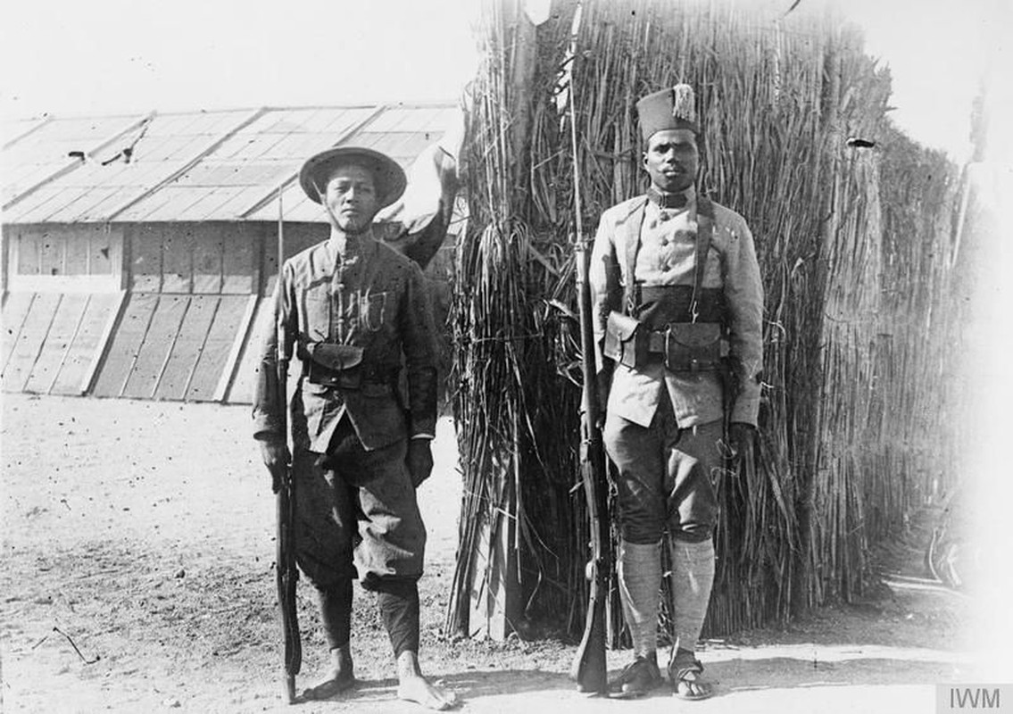 Vi sao nguoi Viet xuat hien o chien truong chau Au 1917?-Hinh-5