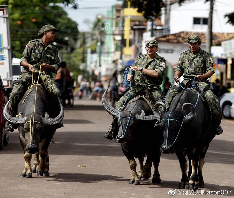 Choang: Canh sat Brazil... cuoi trau di tuan giua pho-Hinh-6