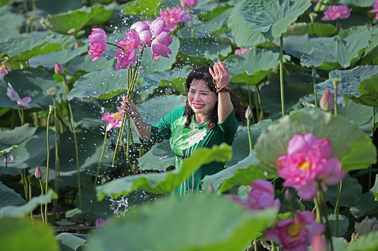 Nang chay da, U bao nhieu dam minh duoi dam sen tao dang?-Hinh-8