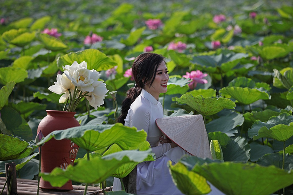 Nang chay da, U bao nhieu dam minh duoi dam sen tao dang?-Hinh-9