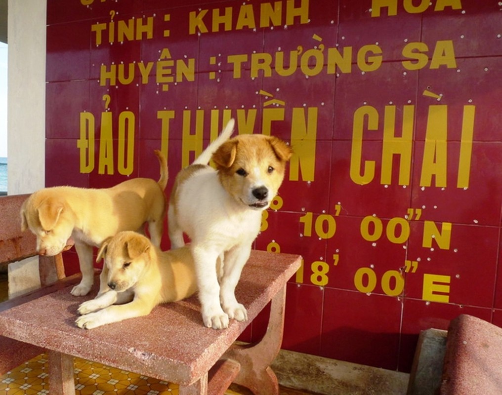 Chuyen hay ve nhung 