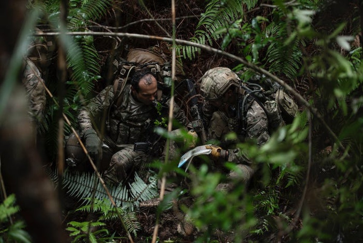 Сила джунглей. Джангл Вагнер. Спецназ в джунглях. Зеленые береты в джунглях. Наемники в джунглях.