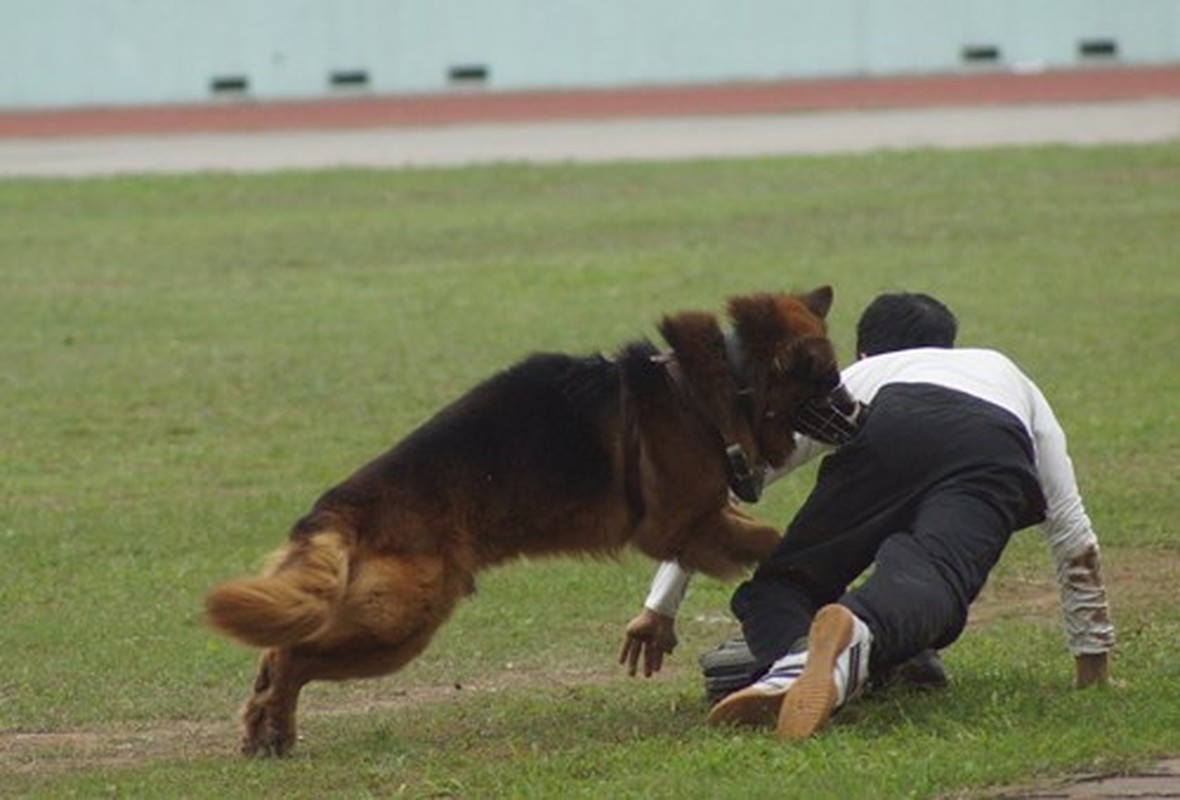 Man nhan bo doi bien phong Viet Nam trinh dien suc manh-Hinh-11