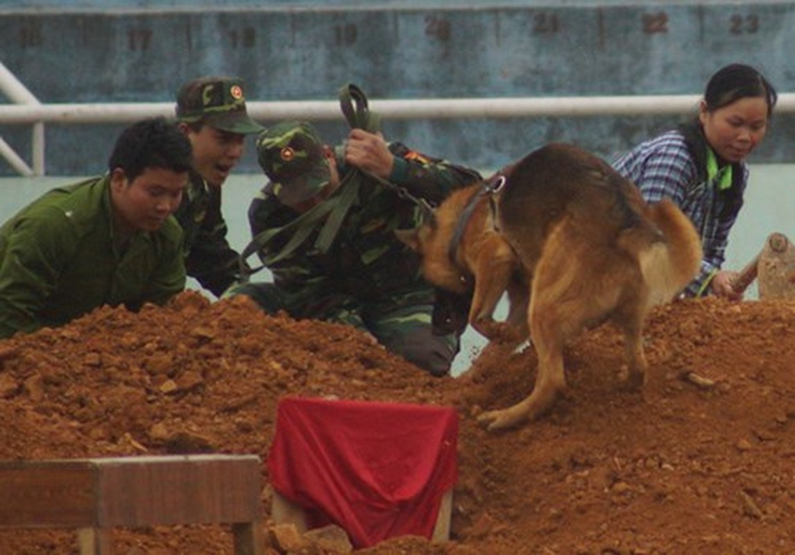 Man nhan bo doi bien phong Viet Nam trinh dien suc manh-Hinh-19