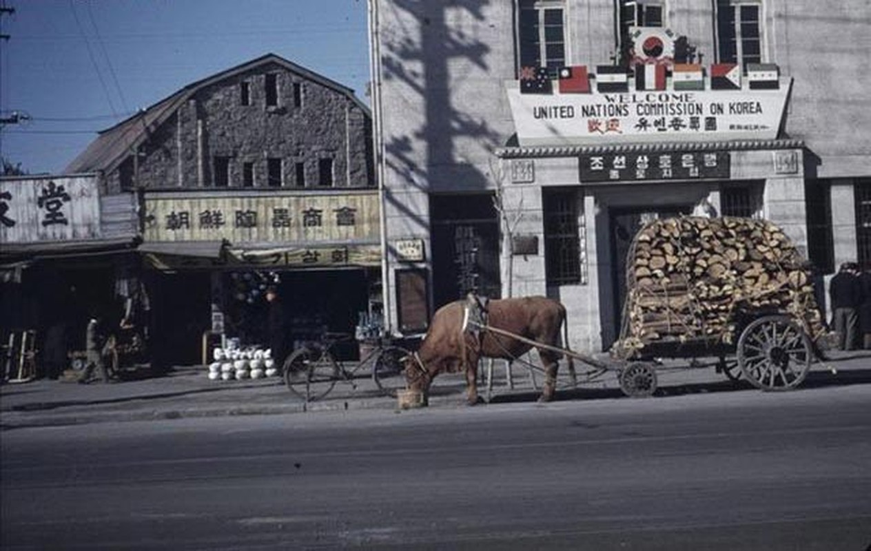 Thu do Seoul vang lang, thanh binh truoc chien tranh nam 1949-Hinh-11