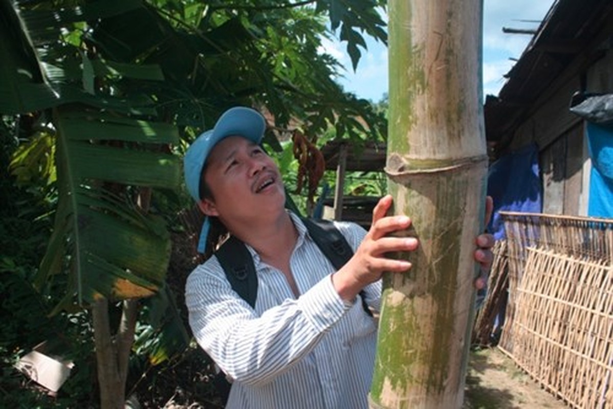 Can canh loai tre khong lo tren nui cao Quang Nam-Hinh-13