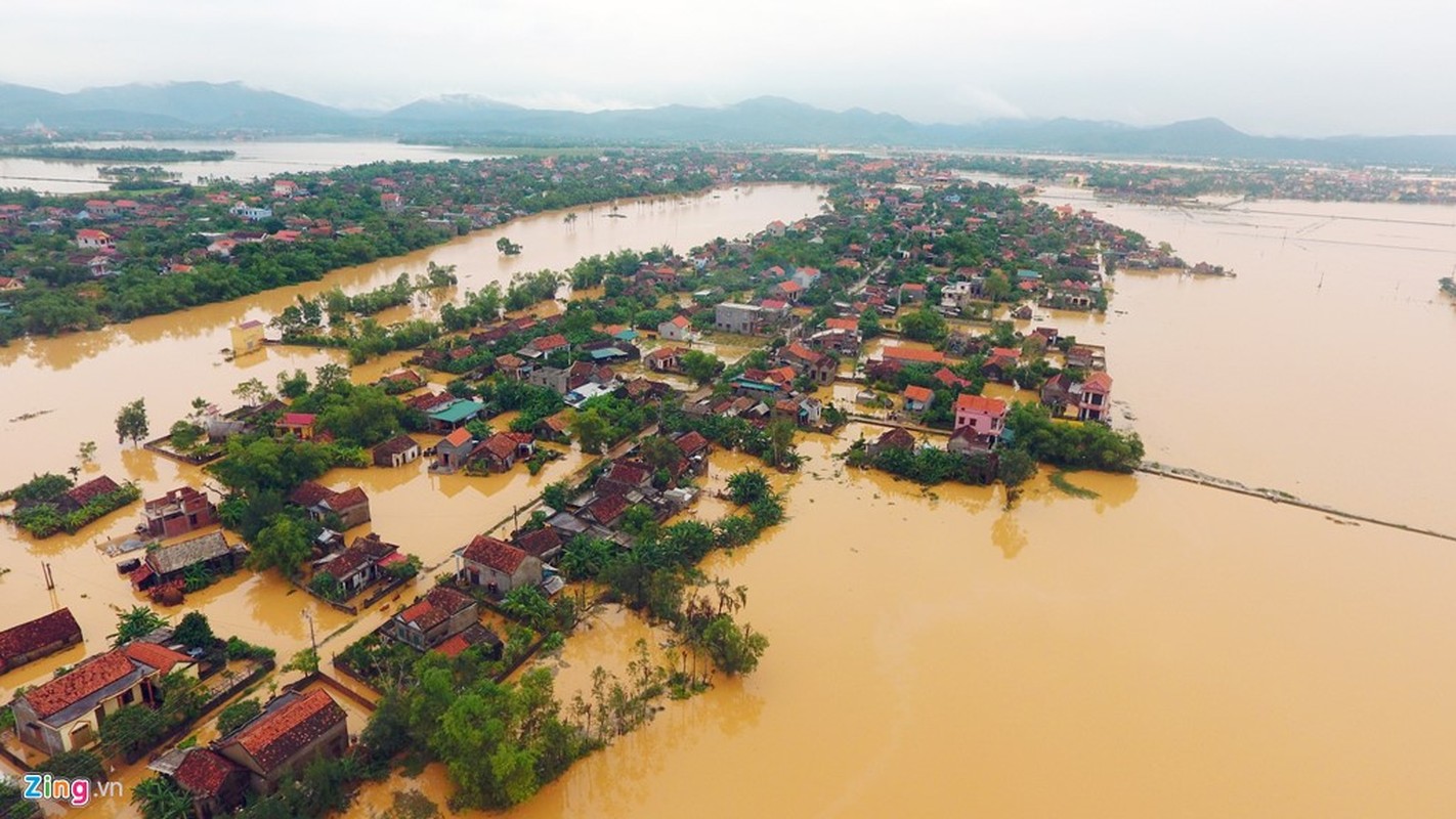 Xot xa canh 20.000 ngoi nha chim trong lu du mien Trung-Hinh-2