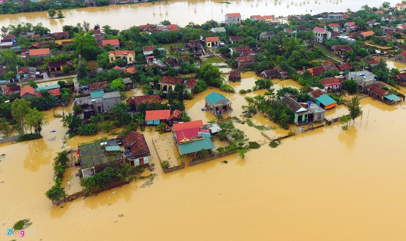 Xot xa canh 20.000 ngoi nha chim trong lu du mien Trung-Hinh-8