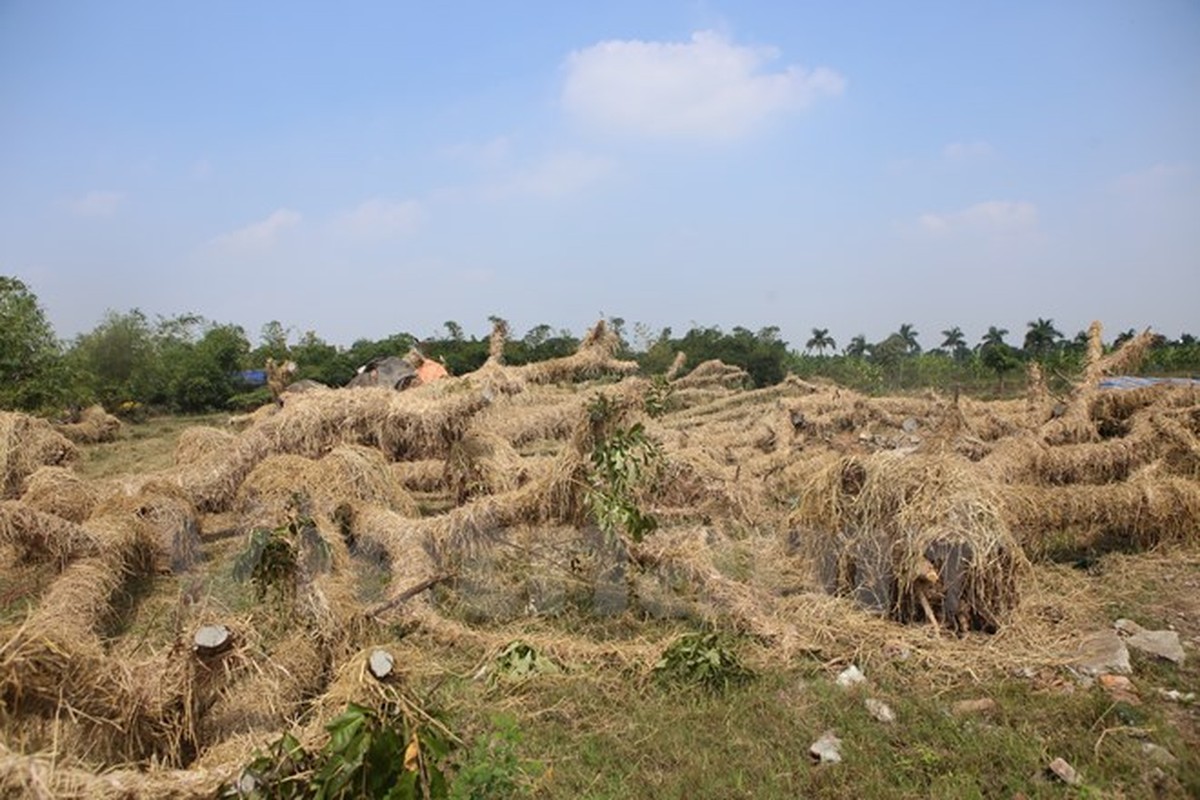 Kham pha noi “hoi sinh” hang xa cu ben duong Kim Ma-Hinh-15