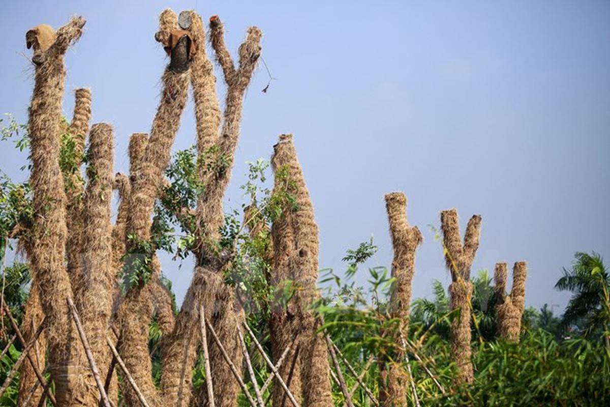 Kham pha noi “hoi sinh” hang xa cu ben duong Kim Ma-Hinh-3