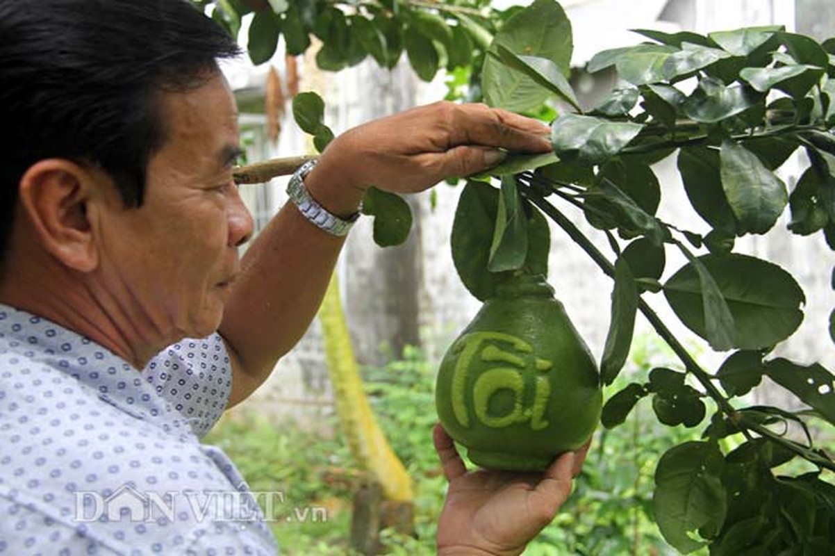 Buoi ho lo Tai loc thu phap khuay dong Tet nam nay?-Hinh-4