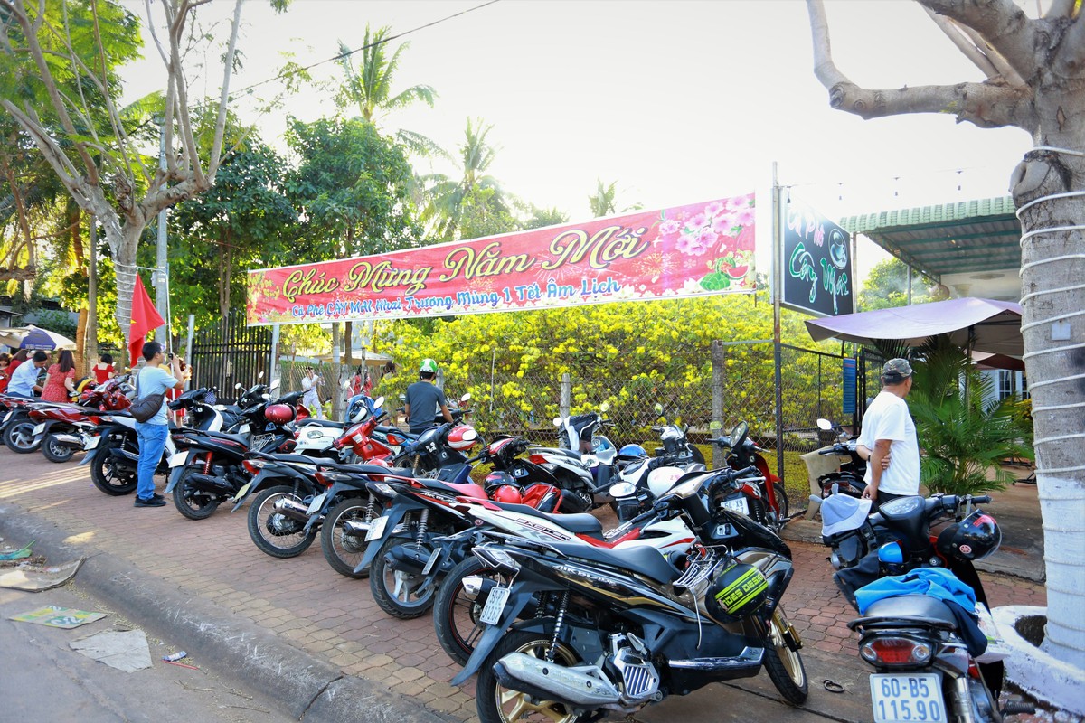 Dau xuan, ngan nguoi toi chup anh check-in ben cay mai 