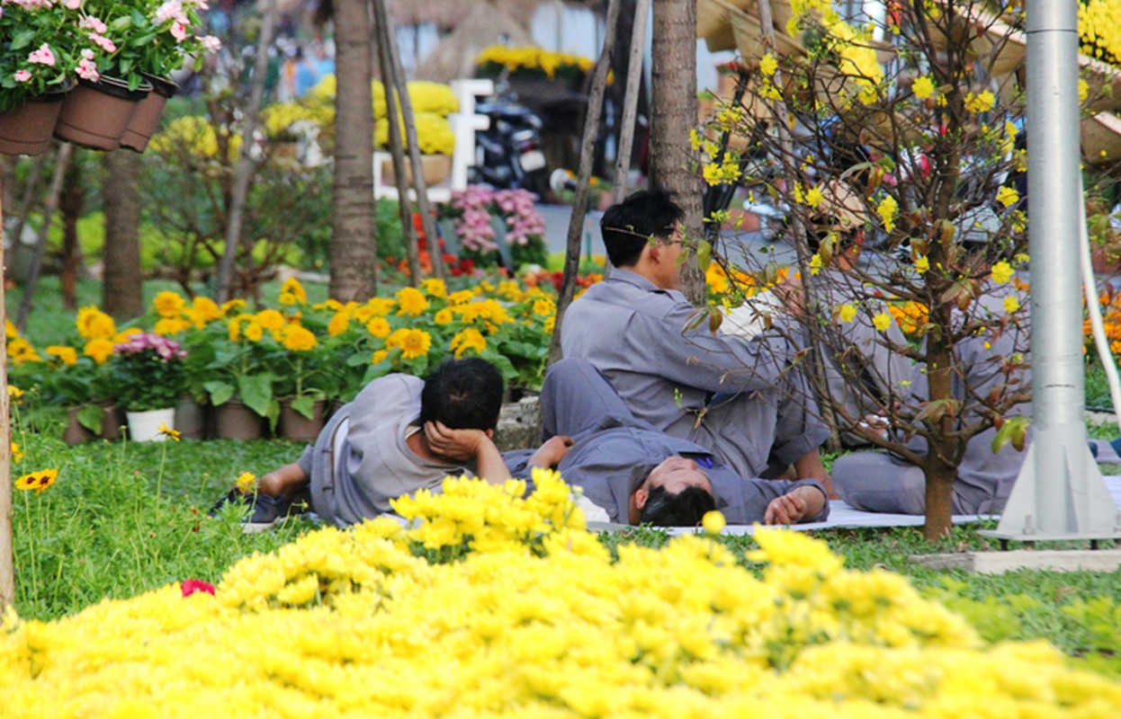 Duong hoa Tet At Mui 2015 da san sang don khach-Hinh-14