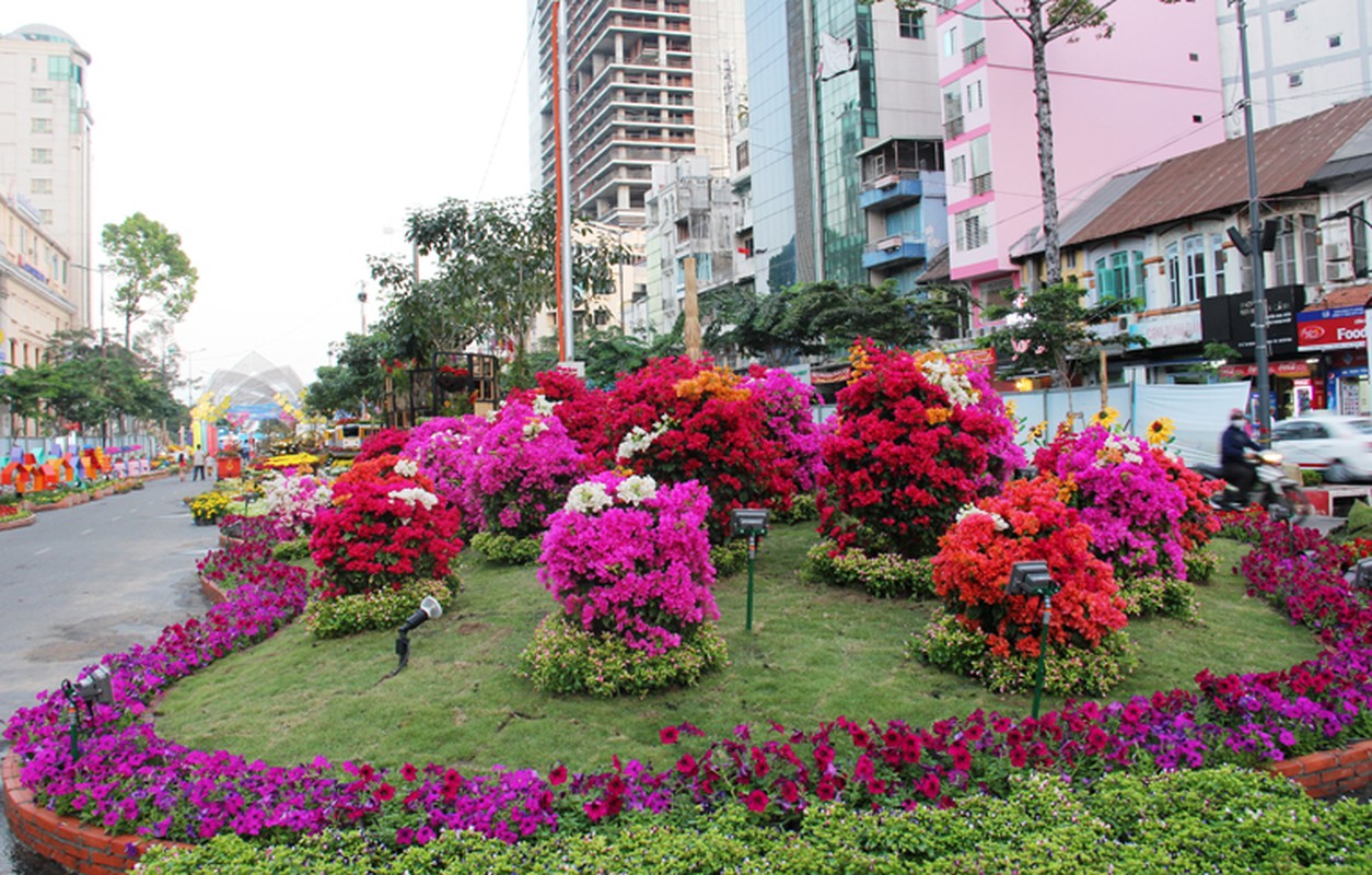 Duong hoa Tet At Mui 2015 da san sang don khach-Hinh-4