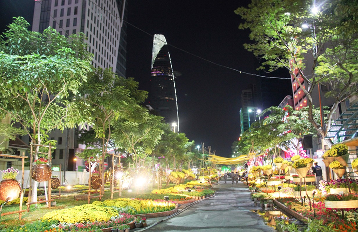 Duong hoa Tet At Mui 2015 da san sang don khach-Hinh-7