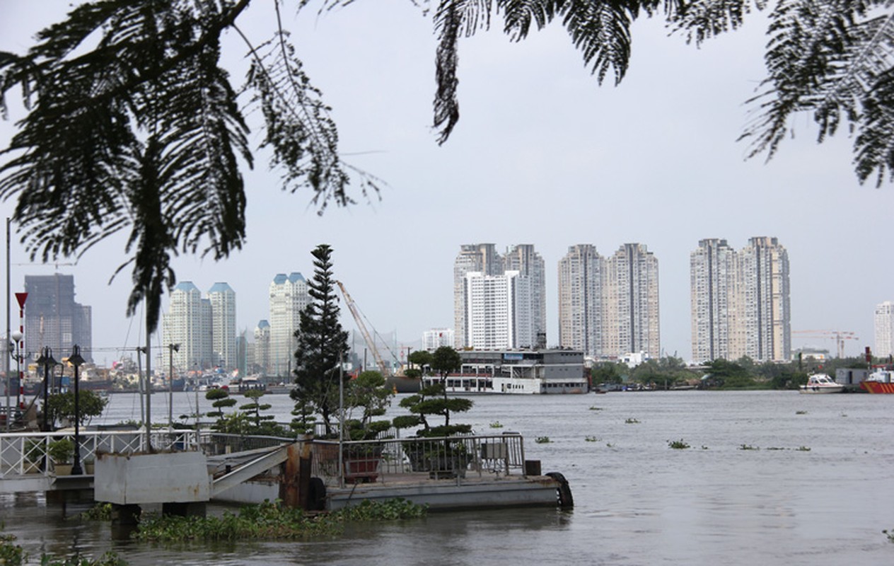 Bén Bạch Dàng “lùng lãy” ỏ Sài Gòn vang ve la thuong-Hinh-5