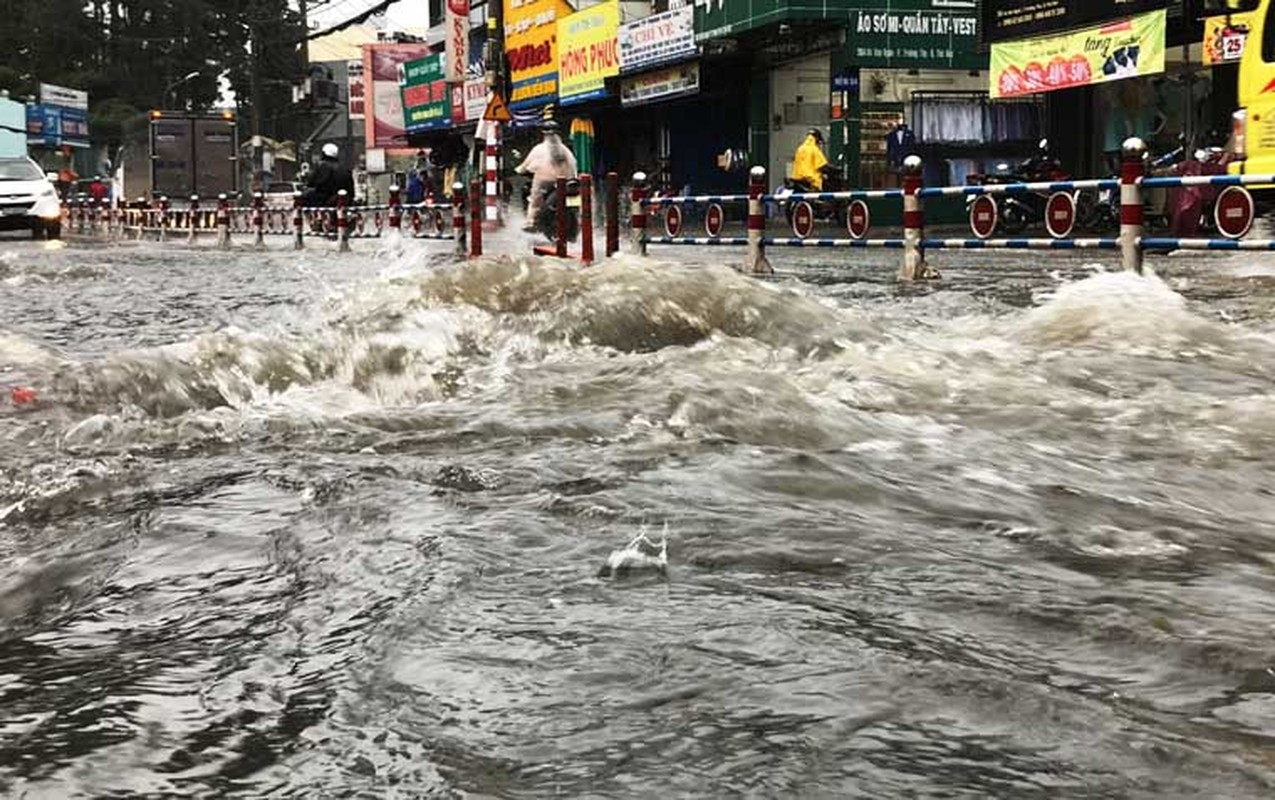 Mua dong kinh hoang o Sai Gon: Cay do, duong ngap, bay mai nha-Hinh-3