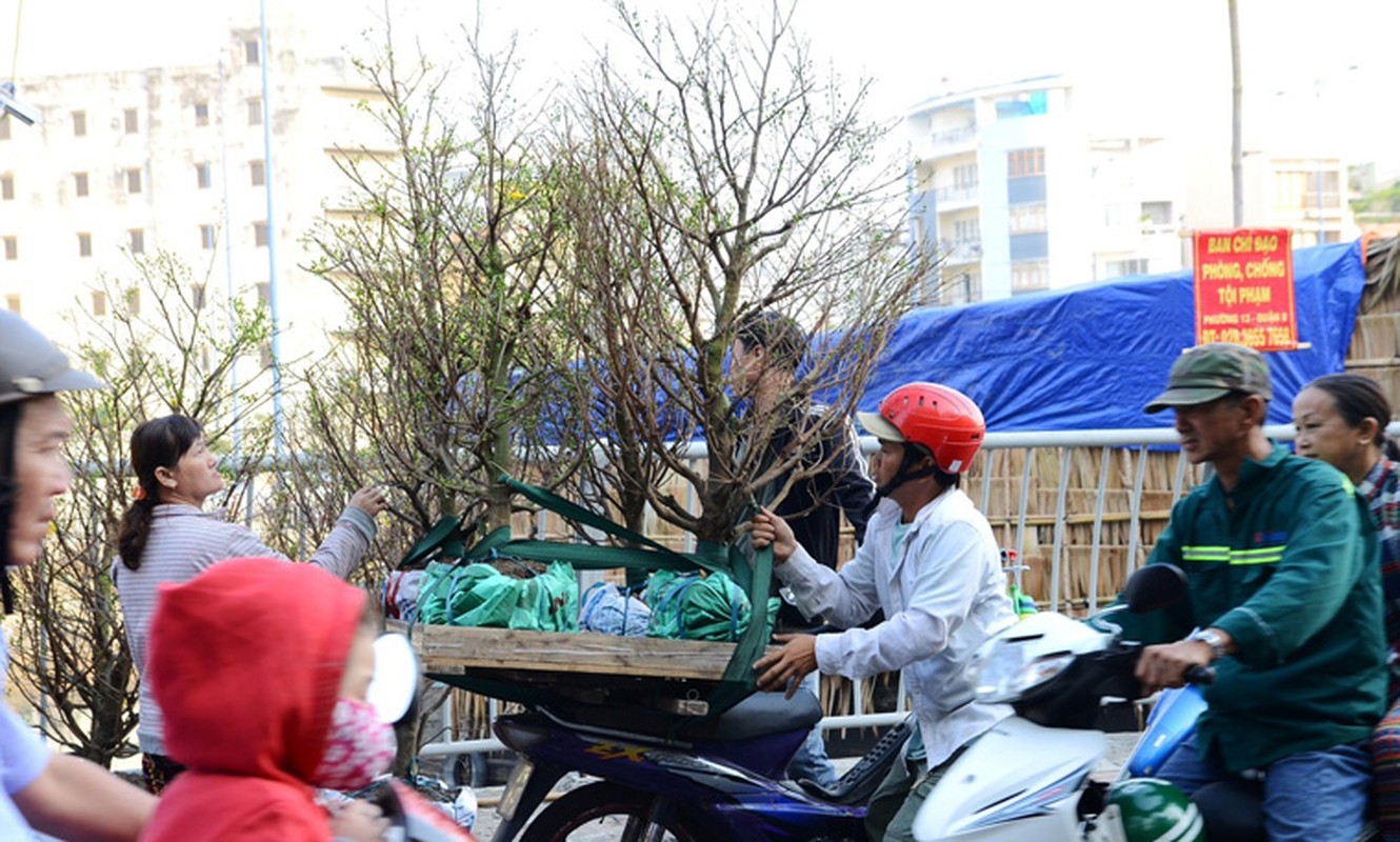 Doc dao cho hoa “tren ben duoi thuyen” chi Tet moi co o TP HCM-Hinh-11