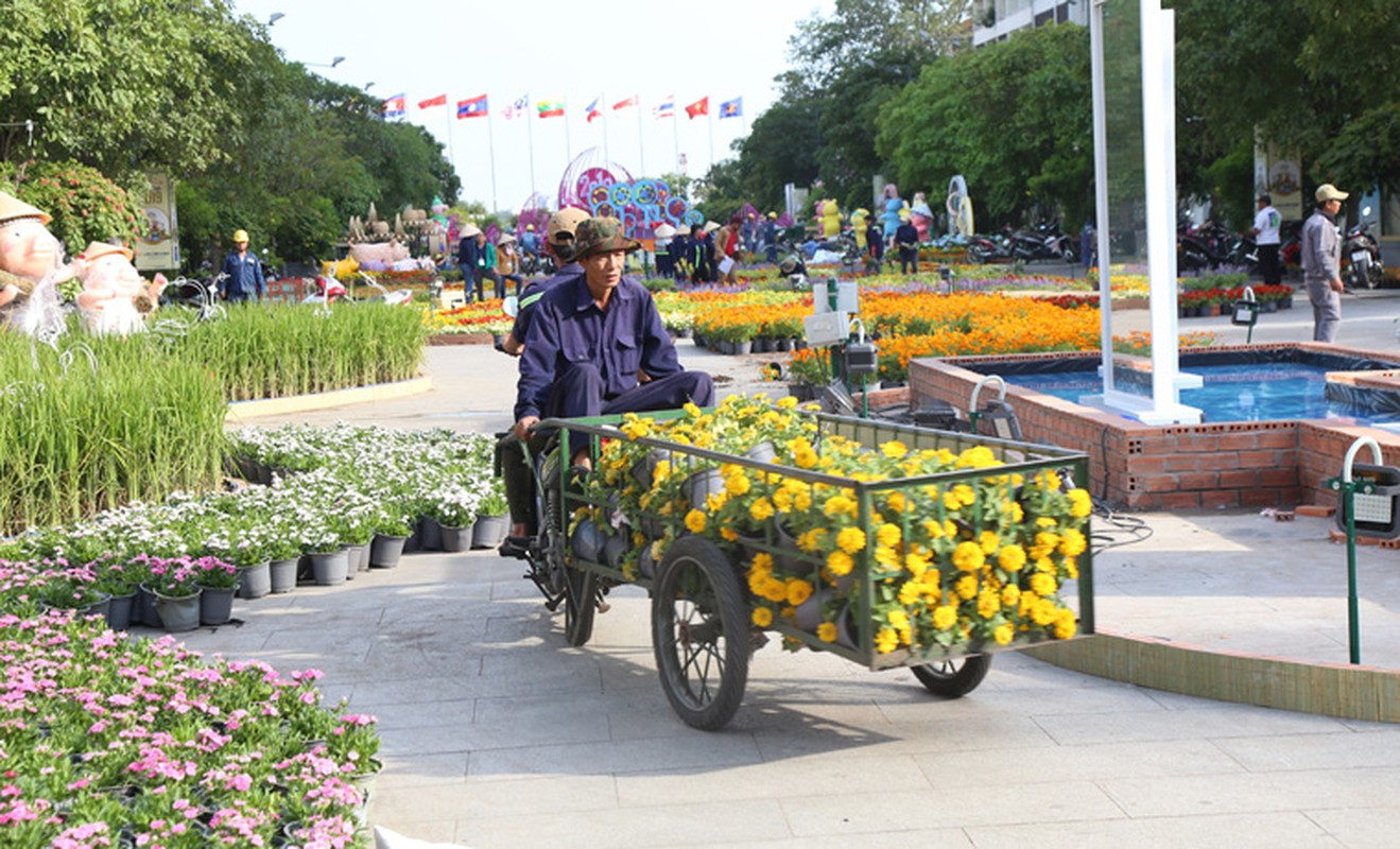 Duong hoa Tet lon nhat TP HCM khoe sac chieu 26 Tet-Hinh-9