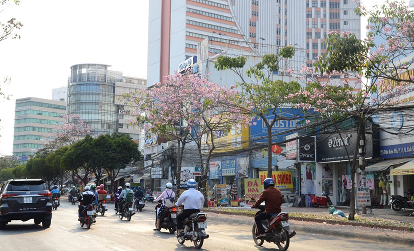 Ngay ngat ngam hoa ken hong nhuom tim duong pho Sai Gon