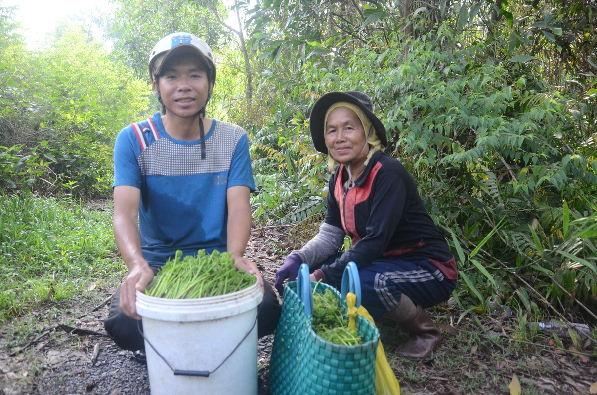 Nghe hai rau choai muu sinh o ngoai thanh Sai Gon-Hinh-7