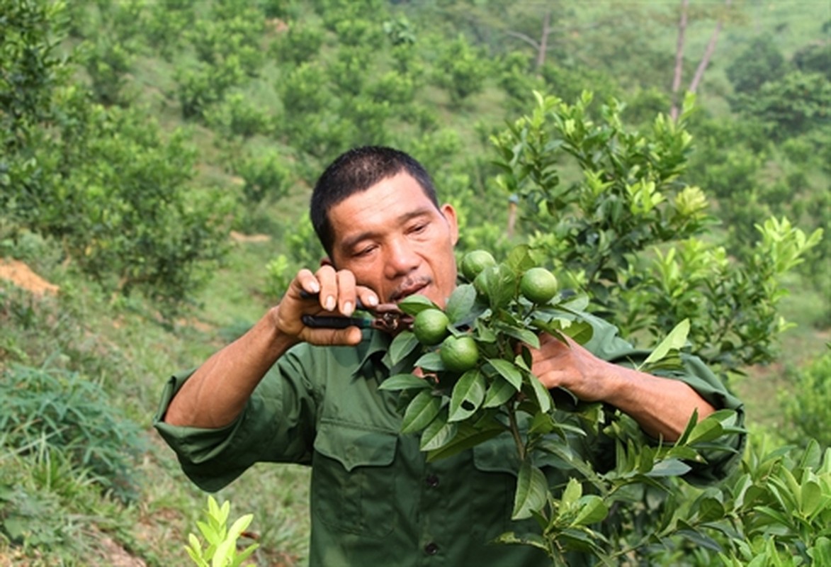 Chum anh: Nhung thuong binh vuot kho lam giau-Hinh-10